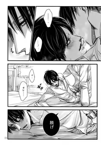 Page 21 of LeviEre Sairokushuu - preview thumbnail
