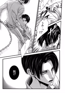 Page 22 of LeviEre Sairokushuu - preview thumbnail