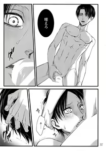 Page 36 of LeviEre Sairokushuu - preview thumbnail