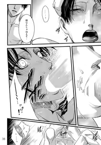 Page 37 of LeviEre Sairokushuu - preview thumbnail