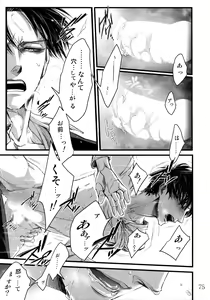 Page 74 of LeviEre Sairokushuu - preview thumbnail