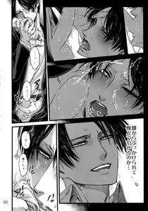Page 85 of LeviEre Sairokushuu - preview thumbnail