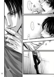 Page 87 of LeviEre Sairokushuu - preview thumbnail