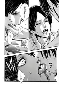 Page 9 of LeviEre Sairokushuu - preview thumbnail