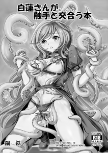 Page 3 of Byakuren-san ga Shokushu to Maguwau Hon - preview thumbnail