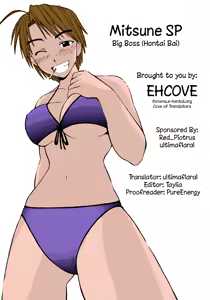 Page 39 of Mitsune SP - preview thumbnail