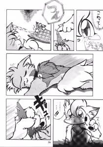 Page 16 of ZooCan 4 - preview thumbnail