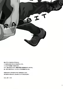 Page 36 of RABBIT - preview thumbnail