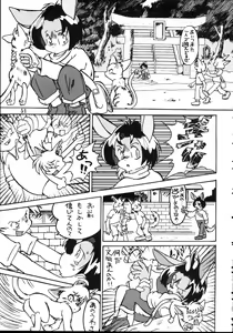 Page 51 of ZooCan 5 - preview thumbnail