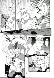 Page 81 of ZooCan 5 - preview thumbnail
