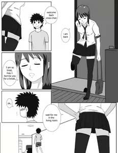 Sibling Play — hentai manga cover on Fhentai