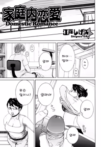 Kateinai Renai - Insest Love | Domestic Romance — hentai manga cover on Fhentai