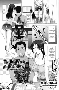 Page 41 of Homestay - preview thumbnail