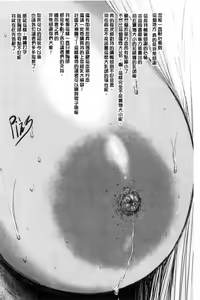 Page 205 of PAICCHU - preview thumbnail