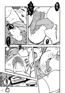 Page 42 of 931 - preview thumbnail