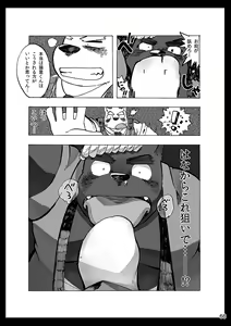 Page 67 of 931 - preview thumbnail