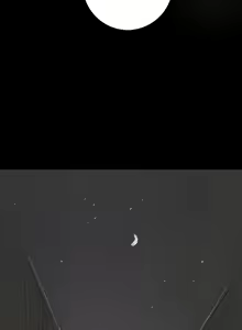 Page 577 of 中文韩漫 姊姊 莲 Ch.1-15 - preview thumbnail