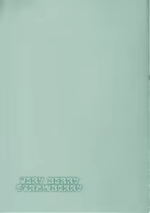Page 30 of VERY BERRY STRAWBERRY - preview thumbnail