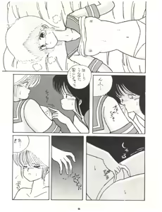 Page 11 of ECDYSS - preview thumbnail