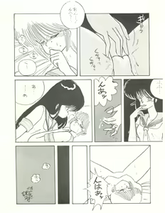 Page 12 of ECDYSS - preview thumbnail