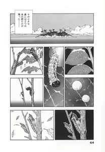 Page 66 of Konai Shasei Vol.04 - preview thumbnail