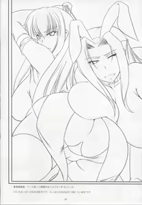 Page 27 of NichiBri PERFECT Nyuukou Jouyaku 1.0 - preview thumbnail