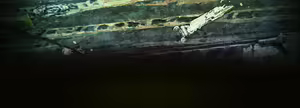 Page 630 of Rance 10 - preview thumbnail