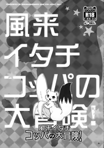 Page 2 of Fuurai Itachi Koppa no Daibouken! - preview thumbnail
