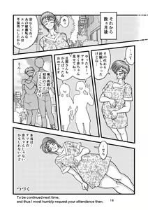 Page 18 of SeFrie Tsuma Akira - preview thumbnail