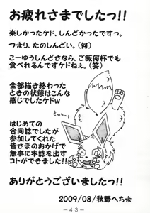 Page 43 of Pocket! - preview thumbnail