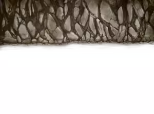 Page 1290 of Gold Scientist - preview thumbnail