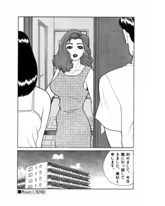 Page 27 of Mansion - preview thumbnail