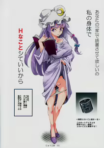 Page 13 of Totsuzen Gekiiki Patchouli-sama - preview thumbnail