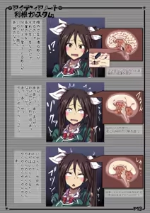 Page 13 of Idea Note "Tone Custom Kanzenban" - preview thumbnail