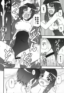 Page 28 of TAIGAX 2 - preview thumbnail