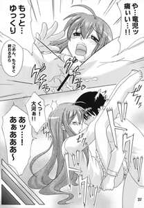Page 37 of TAIGAX 2 - preview thumbnail