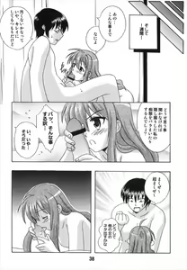 Page 38 of TAIGAX 2 - preview thumbnail