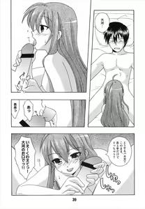 Page 39 of TAIGAX 2 - preview thumbnail