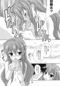 Page 41 of TAIGAX 2 - preview thumbnail