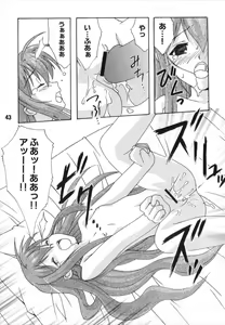 Page 43 of TAIGAX 2 - preview thumbnail