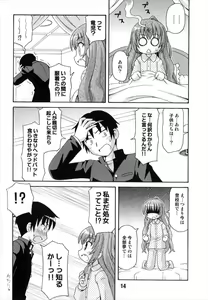 Page 14 of TAIGAX - preview thumbnail