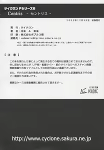 Page 91 of Centris - preview thumbnail