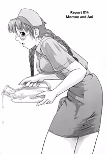 Page 4 of Dulce Report 5 - preview thumbnail