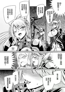 Page 9 of Succubus Install - preview thumbnail