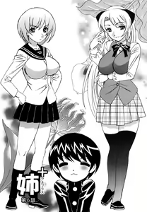 Ane Plus Ch. 6 — hentai manga cover on Fhentai