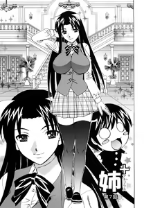 Ane Plus Ch. 7 — hentai manga cover on Fhentai
