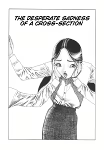 Shintaro Kago - The Desperate Sadness of a Cross-Section — hentai manga cover on Fhentai