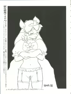 Page 31 of Chousen Ame Ver. 11.0 - preview thumbnail