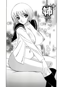 Ane Plus Ch. 9 — hentai manga cover on Fhentai