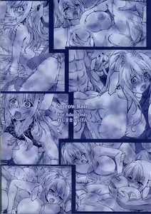 Page 26 of Sorrow Rain - preview thumbnail